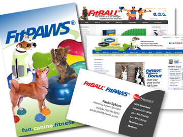 Portfolio thumbnail showing website and brand design work for Ball Dynamics - FitPAWS and FitBALL