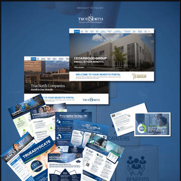 Portfolio thumbnail showing website and communications work for TrueNorth Companies.